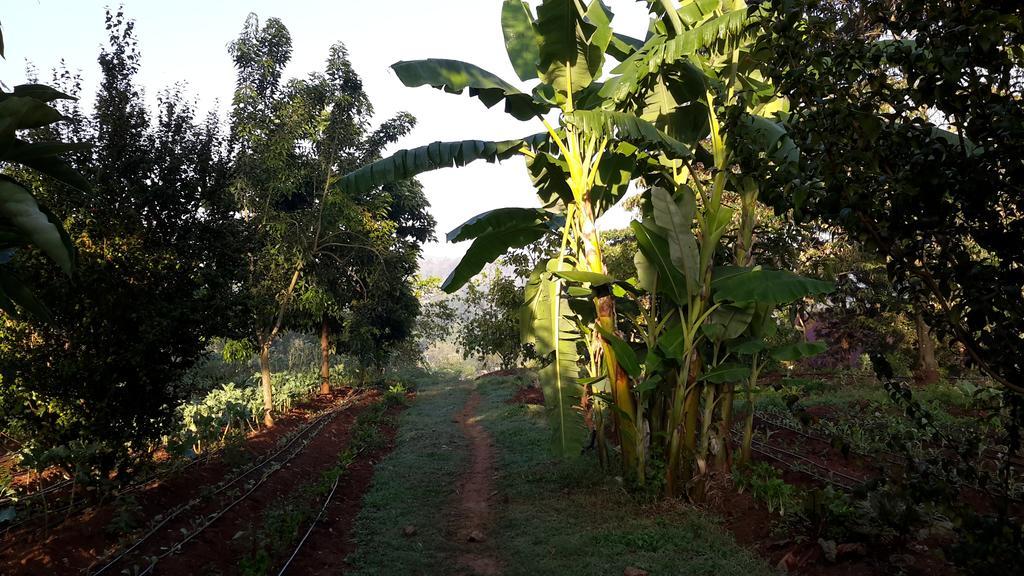 Karen Little Paradise Nairobi Rum bild