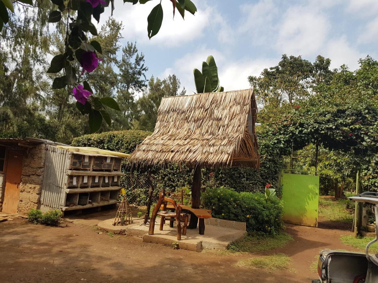 Karen Little Paradise Nairobi Exteriör bild